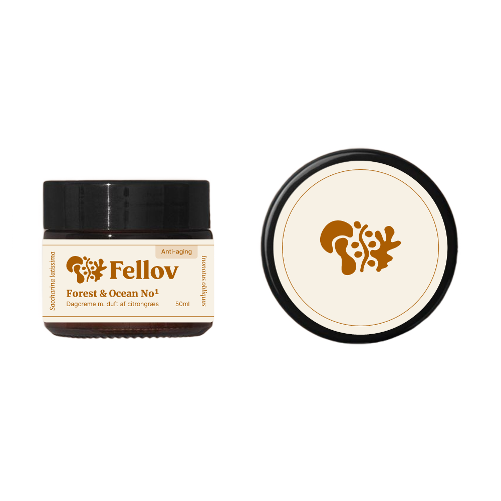 mushroom & seaweed fusion no1 kombucha